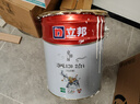 立邦乳胶漆京雅居金标超值净味120二合一无添加内墙漆18L/约25KG 实拍图