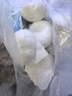 广州酒家流沙凤凰包750g 20个 早餐半成品早茶点心包子面点食品面点小笼包 实拍图