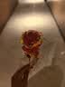 【限时优惠】七彩炫光玫瑰花彩金情人节七夕送老婆女友生日礼物 彩金红玫瑰花 【送它一朵永不凋零的爱意玫瑰】 实拍图