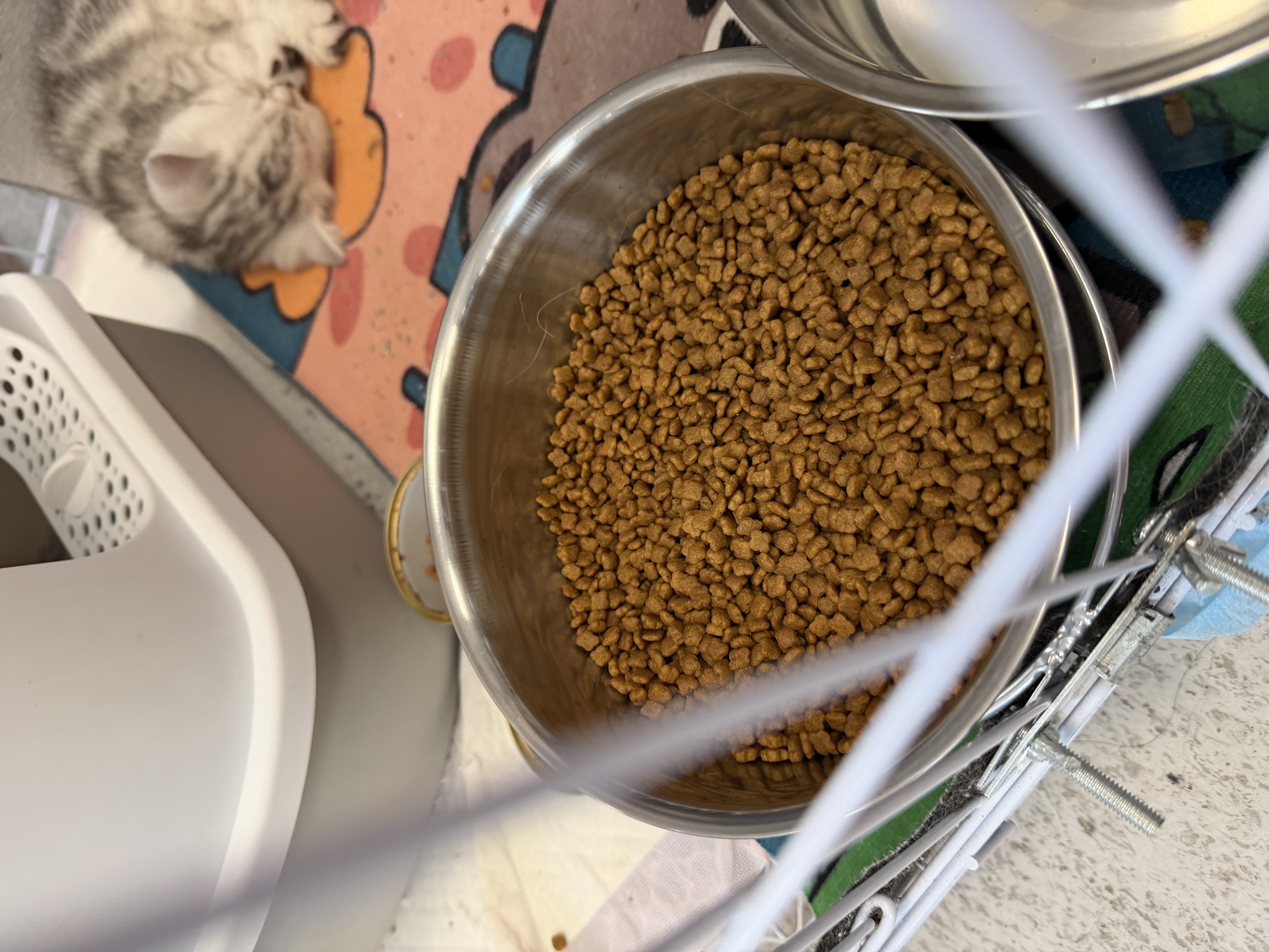 疯狂的主人狗盆防打翻不锈钢挂碗狗笼固定狗碗狗食盆猫碗宠物猫狗挂式饭水碗 实拍图