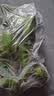 广西网红小米蕉青香蕉发货密封放熟吃新鲜水果皮薄肉厚 净重5斤青蕉发货 实拍图
