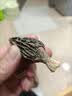 半山农云南羊肚菌50g 含柄5-7cm云南蘑菇特产南北干货菌菇滋补煲汤料 实拍图