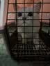 喵先生【新国航标准】宠物航空箱猫狗托运输猫咪狗狗外出箱便携手提笼子 1号【建议18斤内宠物】 实拍图