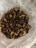 福茗源 菊花茶胎菊250g/罐头采特级品质装花草茶叶家庭装分量泡水喝凉茶 实拍图