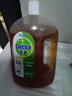滴露（Dettol）消毒液250ml 衣物消毒水家居环境地板消毒 衣物除菌剂 灭活HPV16 实拍图