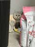 皇家猫粮 幼猫猫粮 幼猫奶糕 K36 通用粮 4-12月 4.5KG 实拍图