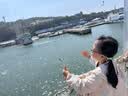 Kocotreekk树儿童墨镜轻巧便携宝宝折叠太阳镜防紫外线偏光镜户外 实拍图