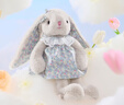 伽百利（Gabriel）玩具兔子玩偶毛绒玩偶安抚娃娃公仔送礼生日礼物七夕情人节礼物 W1813E小开心 普通礼盒款 30cm 实拍图