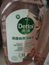 滴露（Dettol）香氛自然衣物消毒液48H留香洗衣除臭儿童可用消毒水杀菌除螨1L*2 实拍图