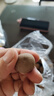十月稻田 桂圆干 500g 带壳桂圆肉 龙眼肉干 枸杞红枣泡茶八宝粥 零食干货 实拍图