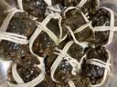 【活蟹】乾澄大闸蟹现货 六月黄2.5-2.8两 10只 去绳足重鲜活螃蟹海鲜礼盒源头直发 实拍图