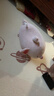 名创优品（MINISO）小猪B-BO弹力超柔趴姿公仔毛绒玩偶儿童玩具抱枕靠枕生日七夕礼物 实拍图