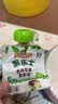 果乐士100%水果泥 苹果泥 儿童辅养食 100g*1袋 实拍图