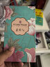 ALittleFlower【全网热销600W+】适用iPhone16e/14/13/13pro钢化膜苹果16e/14/13/13 pro手机膜保护膜防摔抗指纹 实拍图