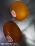 佳沛（zespri）新西兰 阳光金果18粒超大果原箱单果175-204g 猕猴桃水果礼盒 实拍图