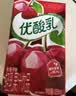 伊利【时代少年团同款】优酸乳车厘子味250ml*24盒 乳饮料牛奶饮品 实拍图