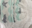 碧芭宝贝盛夏光年Pro拉拉裤XXXL码26片(≥18kg)学步裤尿不湿夏天超薄透气 实拍图