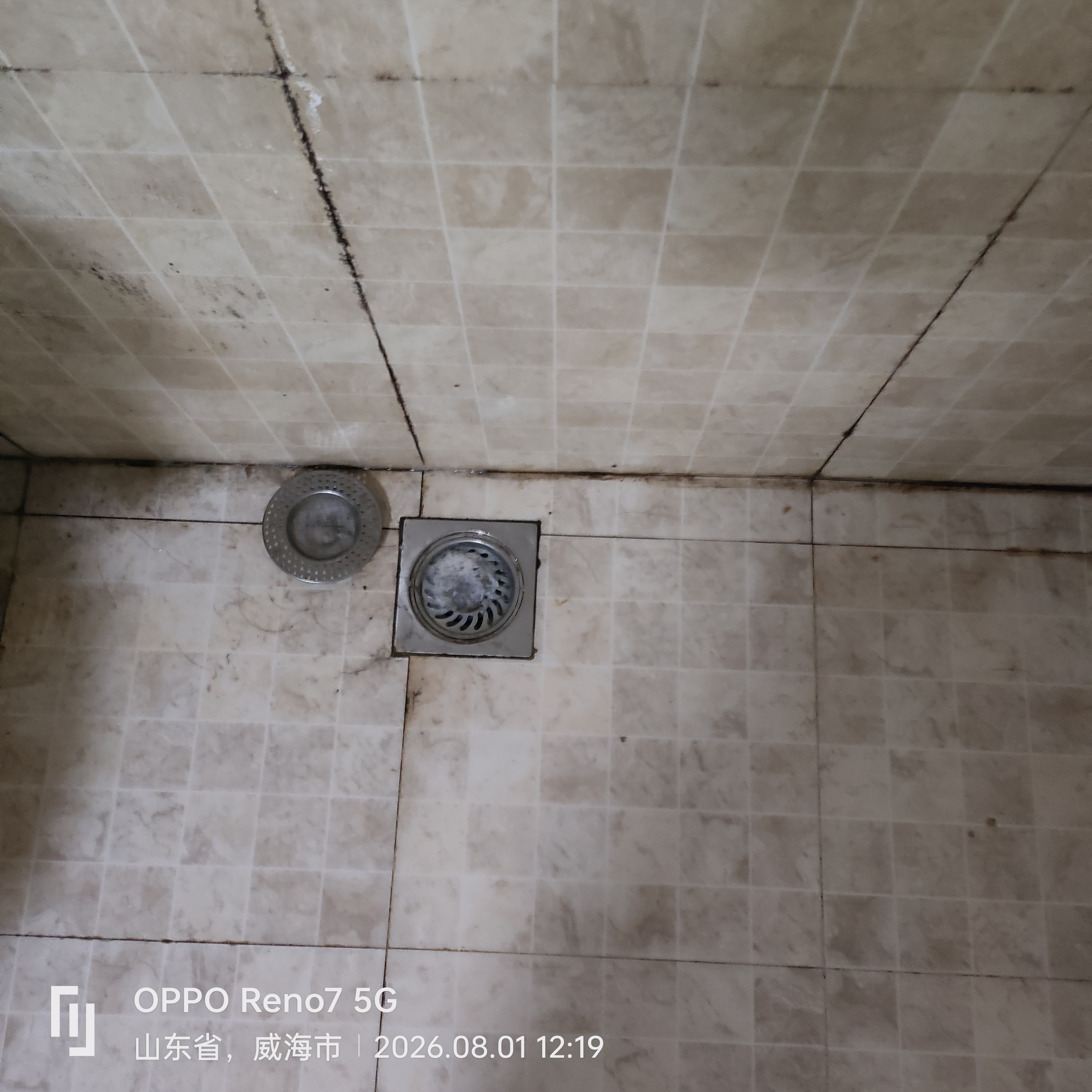 杜邦防臭地漏芯全铜通用下水道防臭神器卫生间防反味密封塞D-SR008 实拍图
