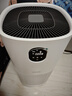 东芝（TOSHIBA）大白梨Pro空气净化器加湿器净化加湿一体机等离子消杀病毒除甲醛过敏源 大白梨净化加湿杀菌除甲醛一体机 实拍图