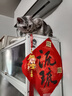 京东京造智能门锁M30 max 人脸识别猫眼可视全自动指纹密码电子锁上门安装 实拍图