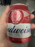 百威啤酒mini红罐淡色拉格255ml*12小罐整箱装京东自营喜酒 实拍图