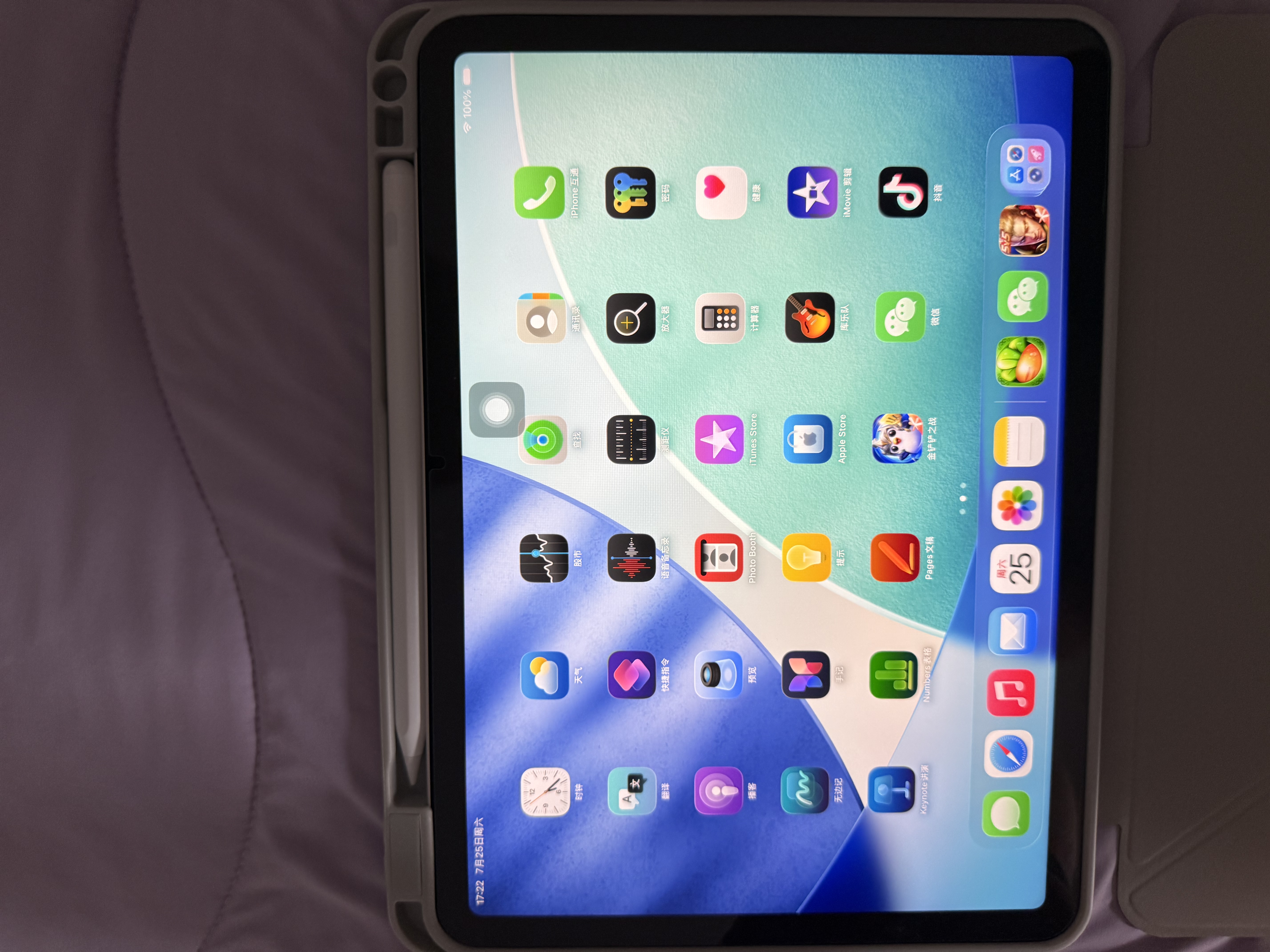 绿联电容笔触控笔【双充】适用2026年款Pro/Air8/Mini7/iPad11平板触屏iPad笔手写笔Apple Pencil 实拍图