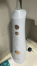 博皓（prooral）冲牙器5025Plus手持立式洗牙器洁牙器节日送礼礼袋送男女朋友情侣 天空蓝270ml 实拍图