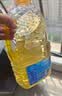 多力葵花籽油1.8L小瓶家用压榨零反式脂肪酸食用油  团购送礼 实拍图