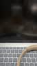Apple/苹果AI/MacBook Air13英寸M5 (10+8核) 16G 512G银色笔记本电脑MDH74CH/A 实拍图