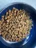 皇家MIJ31 2月龄至10月龄小型犬幼犬狗粮 50g 实拍图
