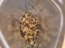 陈一凡黄山贡菊花茶100g 精选黄山菊花办公室常备熬夜泡水喝花草养生茶 实拍图