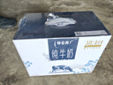 蒙牛精选牧场纯牛奶250mlx12盒 礼盒线下同款  包装随机 部分地区清仓 实拍图