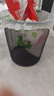 五月花金属网垃圾桶直投12L*3只装大号铁丝环保办公宿舍家用厨房厕所 实拍图