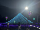 奕思瑞婴儿童早教认知卡片宝宝书本0-1-3岁识数字看图识动物彩色卡玩具 实拍图