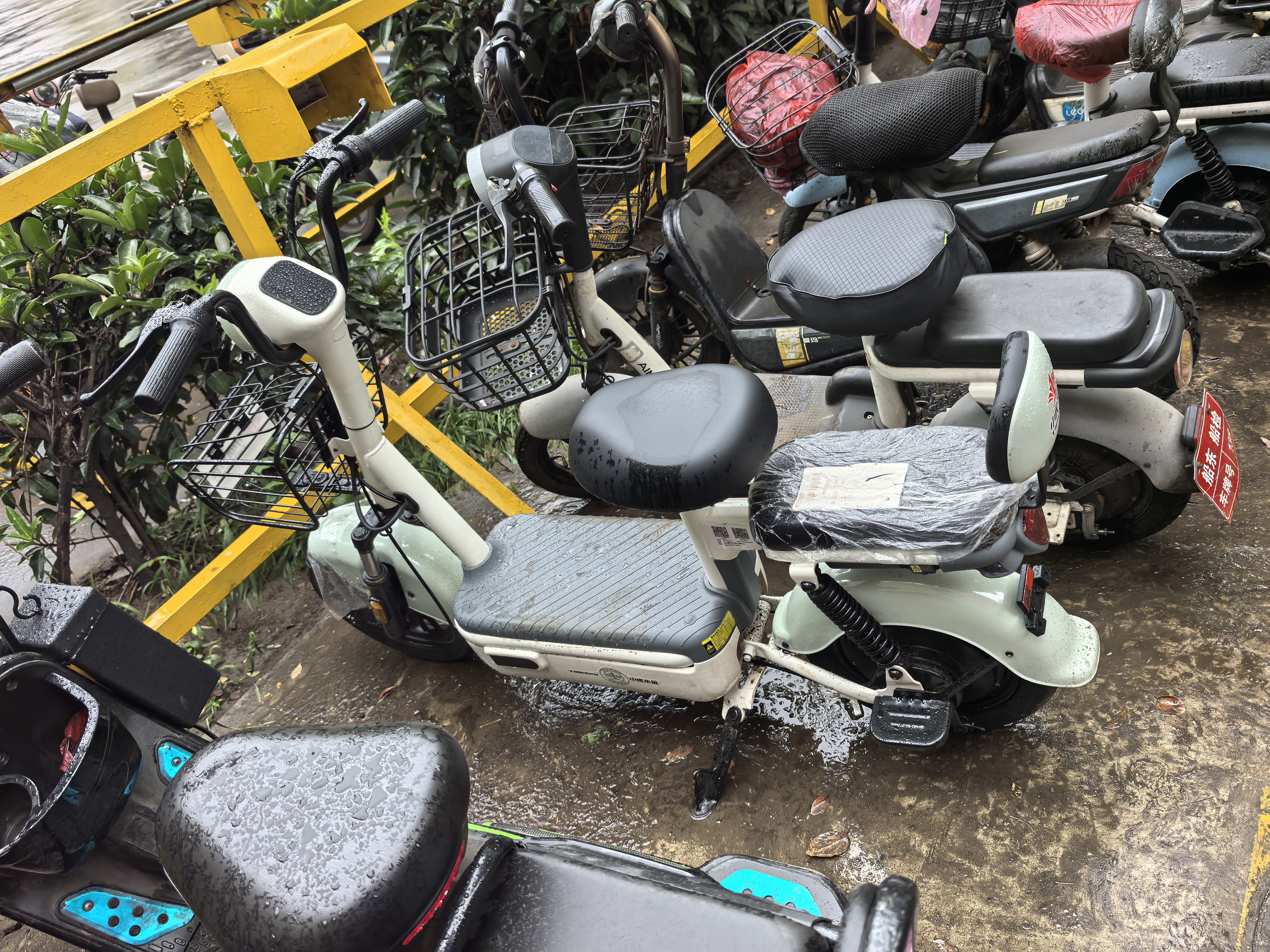 驰小虎电动自行车 吉祥虎新国标电动车电动自行车48V12Ah铅酸电池长续航电瓶车成人代步车电车 绿色 实拍图