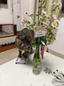1号会员店（One's Member）大码可生食鲜鸡蛋30枚净重3.6斤精选礼盒装 源头直发 实拍图