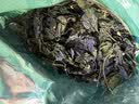 半山农 紫苏叶250g  紫苏茶干搭紫苏中药材紫苏籽叶泡茶水花草茶 实拍图