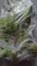 广西网红小米蕉青香蕉发货密封放熟吃新鲜水果皮薄肉厚 净重5斤青蕉发货 实拍图