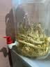 品喻（PINYU）泡酒玻璃瓶泡菜坛加厚泡酒容器密封罐专用酒坛腌制罐腌咸菜缸家用 实拍图