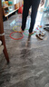 TaTanice跳格子套圈圈敏捷圈幼儿园亲子互动儿童感统训练玩具女孩生日礼物 实拍图