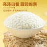 十月稻田 糯米 5斤 新米 东北圆粒糯米 五谷杂粮米 包粽子糯米粉 酿米酒 实拍图