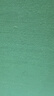 贝阳（beiyang）1.5*2米绿色背景布绿幕抠像布直播间专用摄影加厚影视录课伸缩背景墙道具绿布抠图幕布直播背景布 实拍图