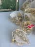 南京同仁堂金银花菊花茉莉花三花茶去火清热解毒养肝官方正品下火清肝养生茶 实拍图