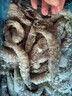 星星雪糕柜商用卧式冰柜展示柜超市大容量冷藏冷冻饮料冰箱水果烧烤点菜陈列柜岛柜SD/SC-300BE 实拍图