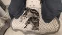 猫人靠枕趴睡枕床头靠垫多功能俯卧位趴枕趴着睡觉玩手机看书神器靠垫 【升级款带头枕】趴睡枕 米灰色 实拍图