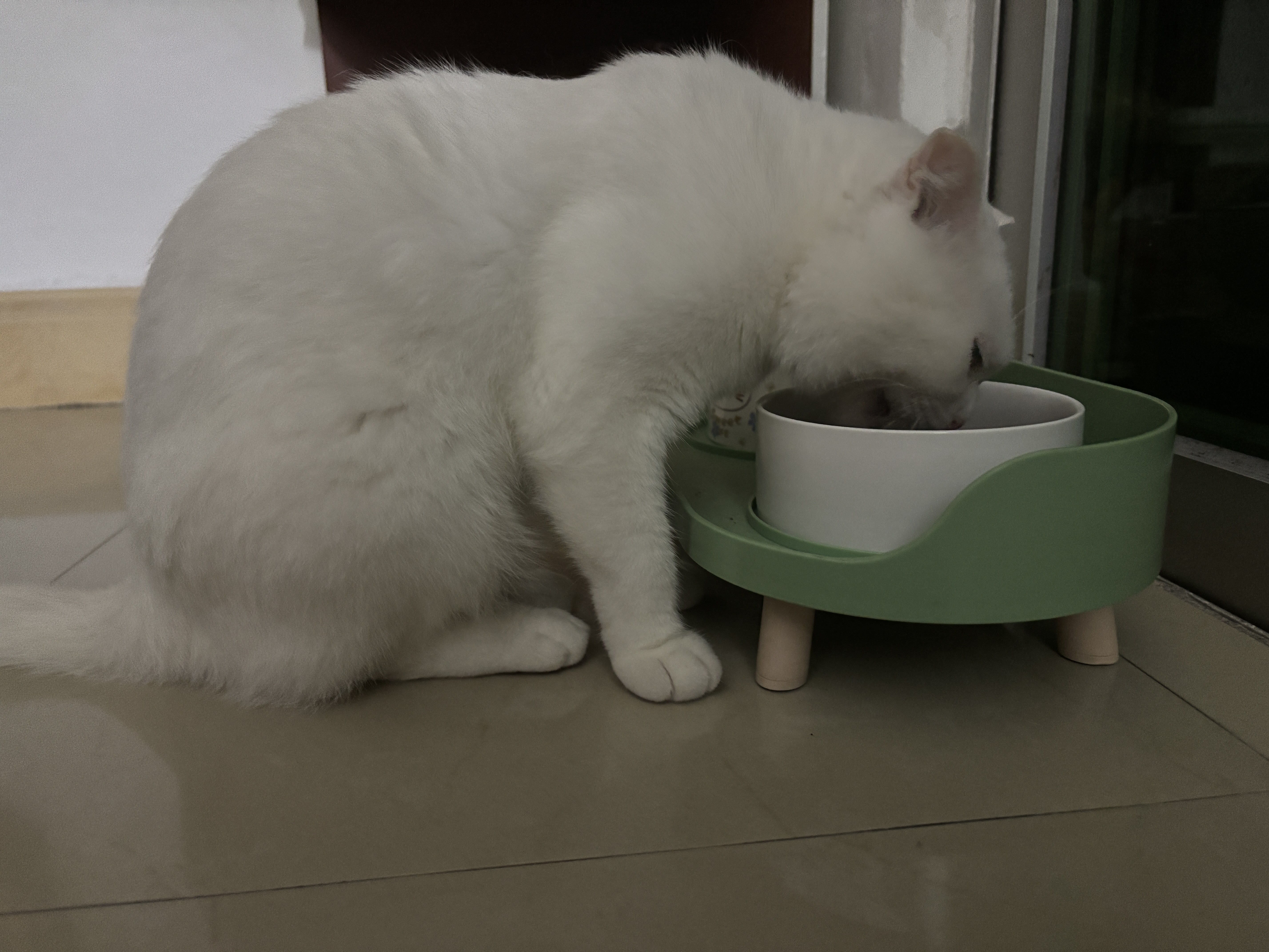喵梵思白袋子冻干猫粮全价营养鸡肉幼猫成猫全阶段通用主粮营养长肉 4.1金边营养款9kg（1.5kg×6袋） 2个月及以上 实拍图