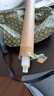 三雄极光 led灯管一体化t5支架无影灯管灯带 led日光灯长条节能灯具套装 实拍图