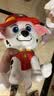 汪汪队立大功（PAW PATROL）汪汪队玩具毛绒全套狗狗玩偶公仔男女孩玩具旺旺队儿童生日礼物 经典款-毛毛公仔【需选尺寸】 中号-坐或站高约17~22.9CM 实拍图