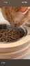 佩玛思特PetMaster深海鱼系列猫粮成猫去毛球猫粮2kg 实拍图
