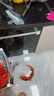 水卫士洗碗粉1kg*2瓶洗碗机洗涤清洁剂洗碗块洗涤粉耗材全机型水卫仕2kg 实拍图